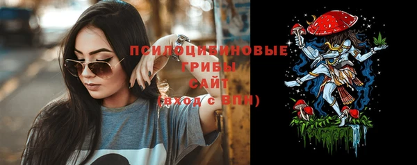 метадон Гусь-Хрустальный
