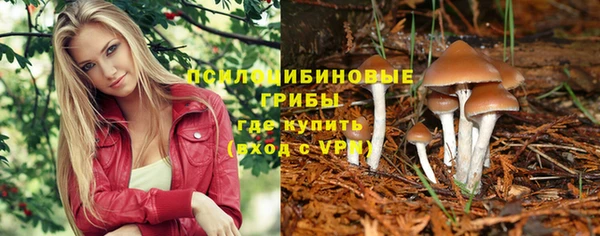 трава Гусев